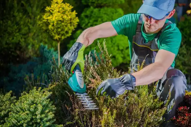 landscaping services Fort Mitchell